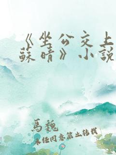 《坐公交上班的苏晴》小说