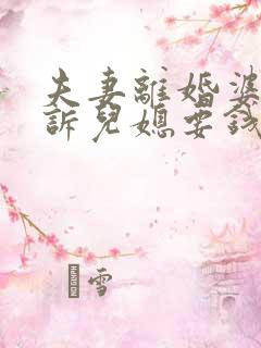 夫妻离婚婆婆起诉儿媳要钱