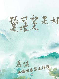 孙可望是好人还是坏人