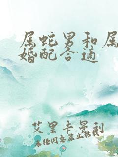 属蛇男和属龙女婚配合适