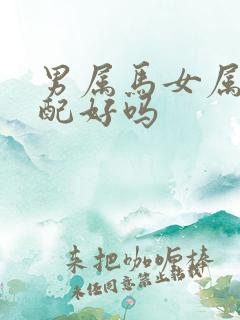 男属马女属鼠婚配好吗