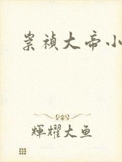 崇祯大帝小说