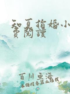 知夏指婚小说免费阅读
