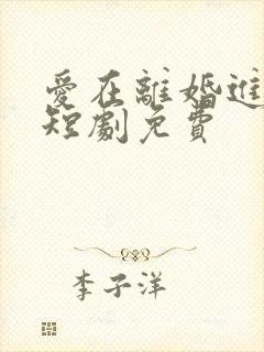 爱在离婚进行时短剧免费