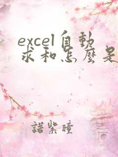 excel自动求和怎么是0怎么解决