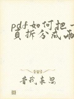 pdf如何把一页拆分成两页打印