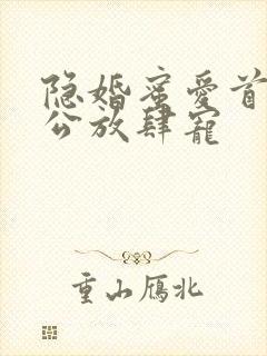 隐婚蜜爱首席老公放肆宠