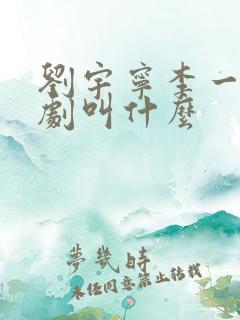 刘宇宁李一桐新剧叫什么