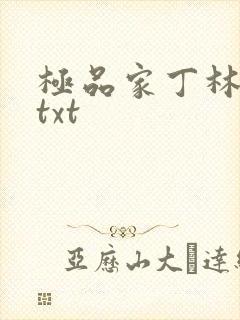 极品家丁林晚荣txt