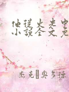 他从火光中走来小说全文免费观看