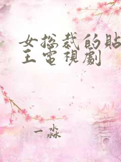 女总裁的贴身战王电视剧
