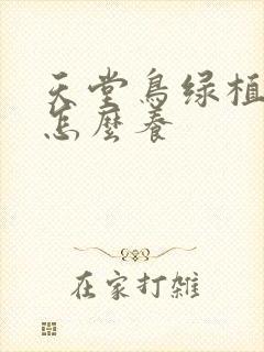 天堂鸟绿植水培怎么养