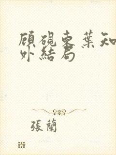 顾砚东叶知安番外结局