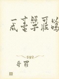 一寸照可以扫描成电子版吗