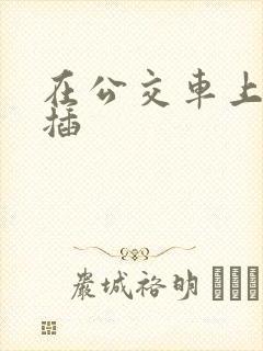 在公交车上被人插
