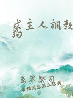 求主人调教小母狗