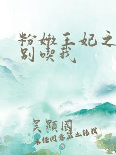 粉嫩王妃之殿下别吃我