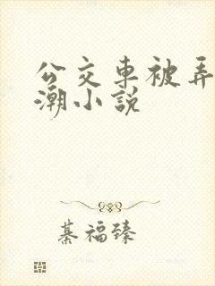公交车被弄到高潮小说