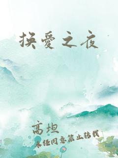 换爱之夜