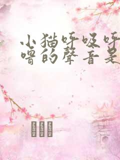 小猫呼吸呼噜呼噜的声音是怎么回事