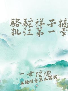骆驼祥子摘抄和批注第一章