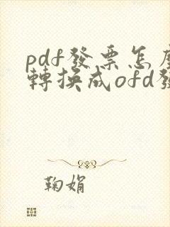 pdf发票怎么转换成ofd发票格式