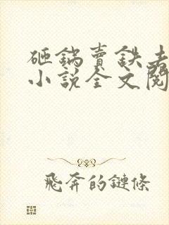砸锅卖铁去上学小说全文阅读免费