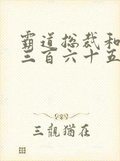 霸道总裁和我的三百六十五天