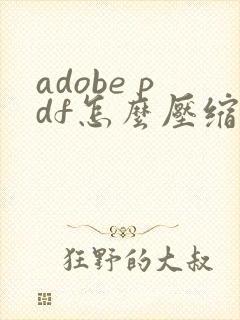 adobe pdf怎么压缩文件大小