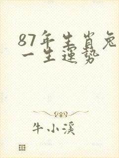87年生肖兔男一生运势