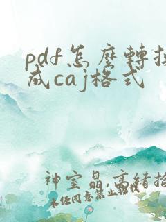 pdf怎么转换成caj格式