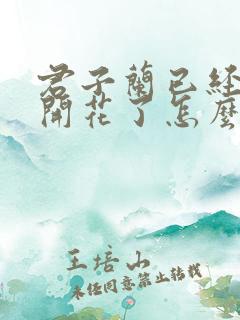 君子兰已经夹箭开花了怎么办