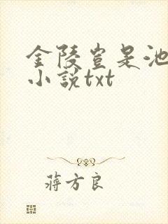 金陵岂是池中物小说txt