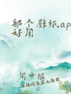那个壁纸app好用