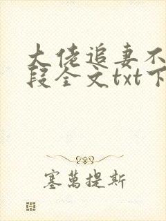 大佬追妻不择手段全文txt下载