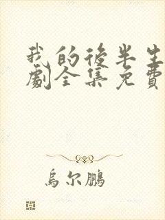 我的后半生电视剧全集免费观看高清版