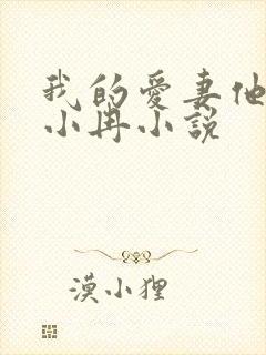 我的爱妻他的媳小冉小说
