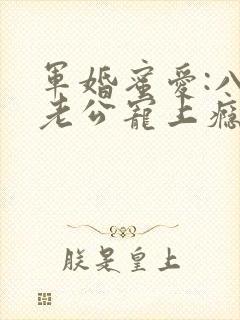 军婚蜜爱:八零老公宠上瘾