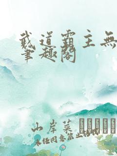 武道霸主无弹窗笔趣阁