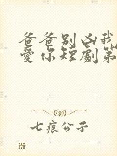 爸爸别凶我我也爱你短剧第11集