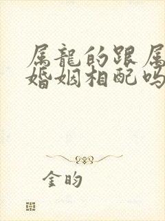 属龙的跟属蛇的婚姻相配吗