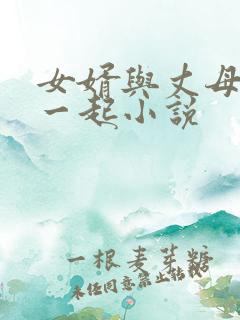 女婿与丈母娘在一起小说