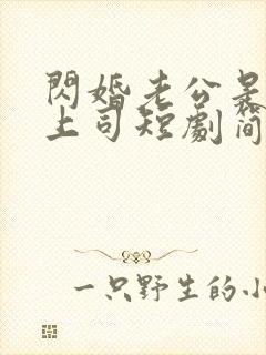 闪婚老公是顶头上司短剧简介