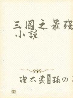 三国之最强帝王 小说