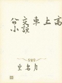 公交车上高潮的小说