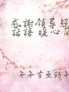 感谢领导照顾的话语 暖心简短