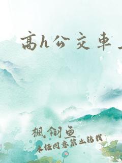 高h公交车上