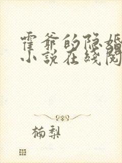 霍爷的隐婚罪妻小说在线阅读