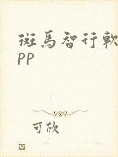 斑马智行软件app
