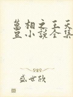 万相之王天蚕土豆小说全集